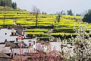 Miscellaneous - Huatianju Inn, Jiangling, Wuyuan (Wuyuan)