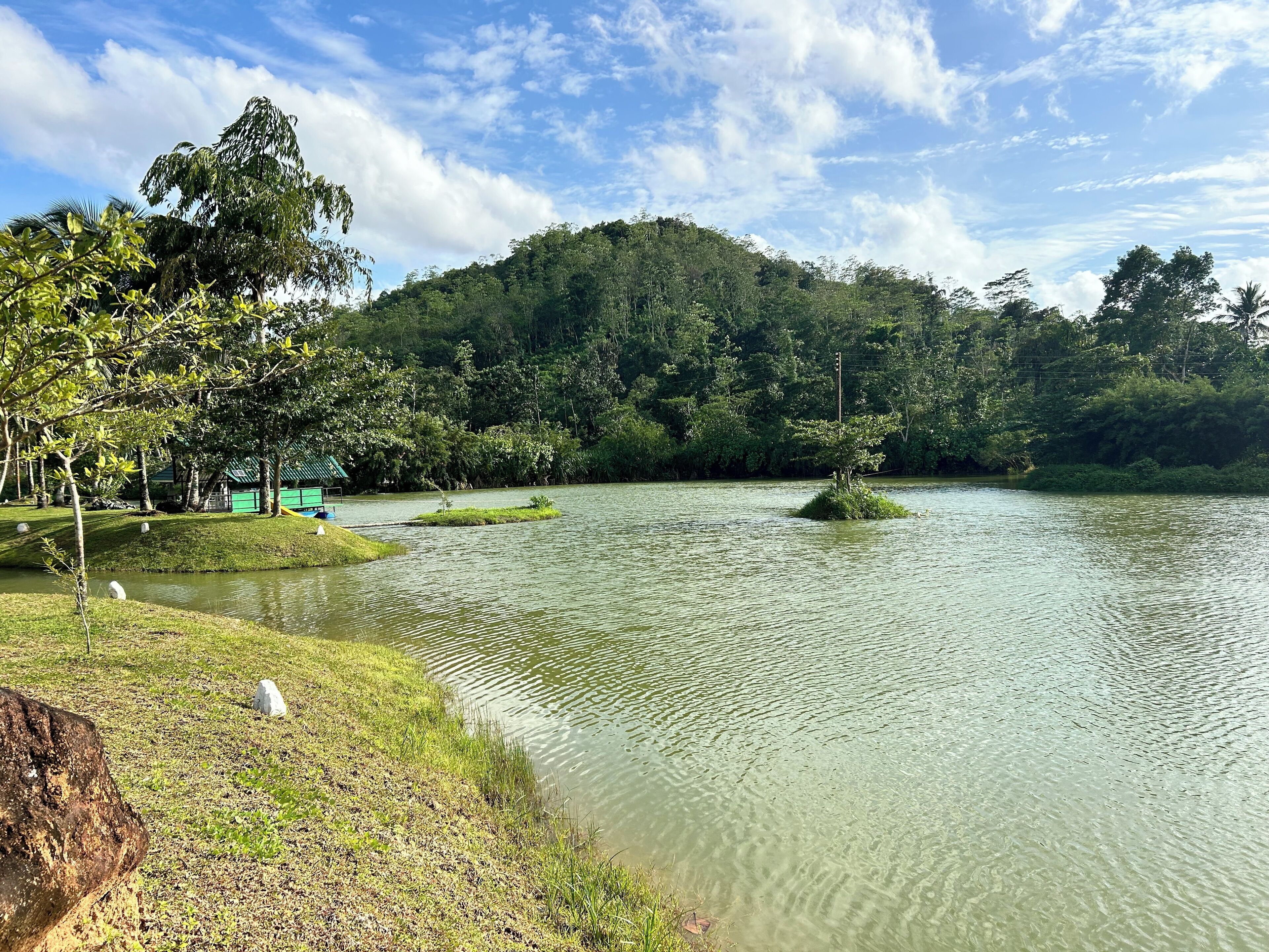 Lake view
