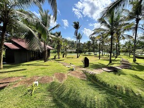 Ropa de cama de alta calidad y minibar con artículos gratuitos
