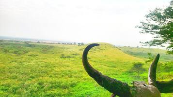 A landscape with a prominent horn structure in the foreground.