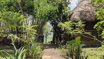 Jardín