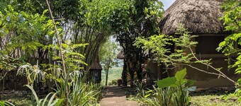 彭巴野��生动物园小屋