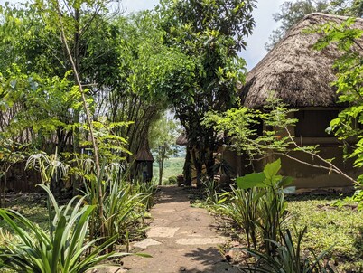 Pumba Safari Cottages