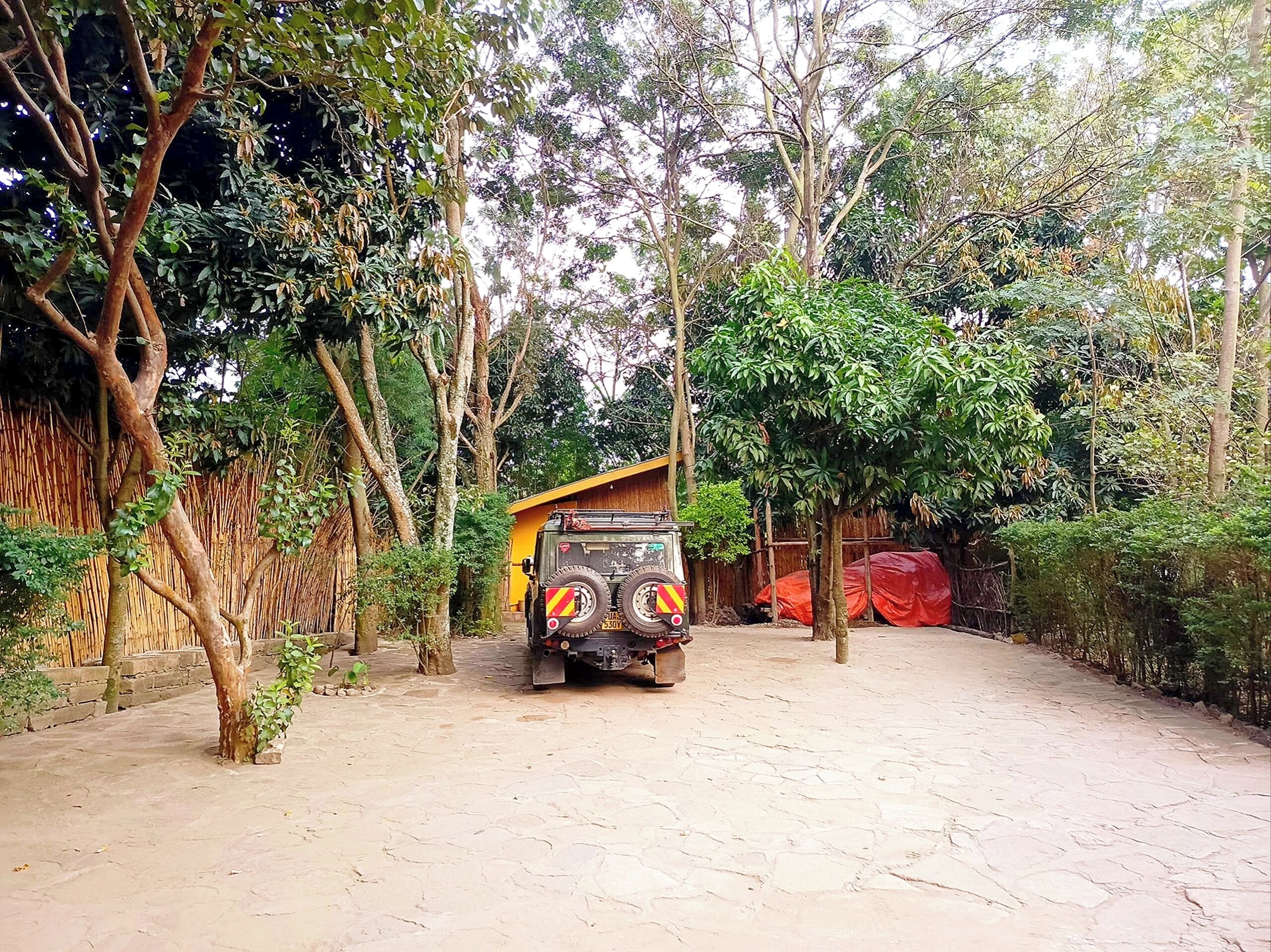 Un jeep estacionado en un patio empedrado rodeado de árboles y una cerca de bambú.