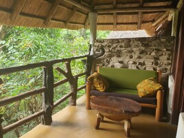 Habitación con 1 cama doble o 2 individuales | Terraza o patio