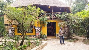 A rustic building with a thatched roof, surrounded by greenery. - Pumba Safari Cottages (Kichwamba)