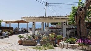 Un espace extérieur aménagé avec des tables et des chaises, entouré de plantes en pot et offrant une vue sur la mer.