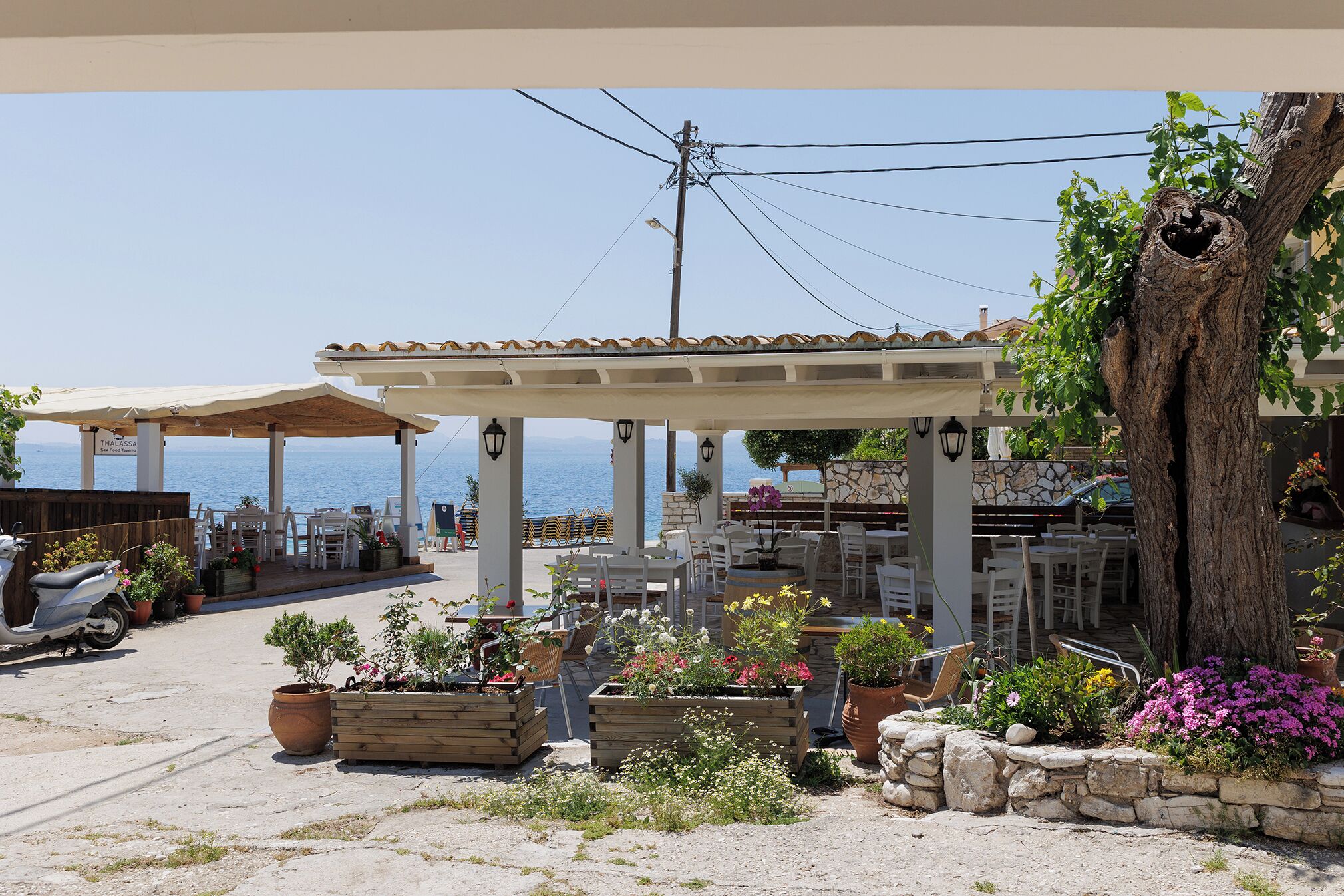 An outdoor seating area with tables and chairs, surrounded by potted plants and a view of the sea.