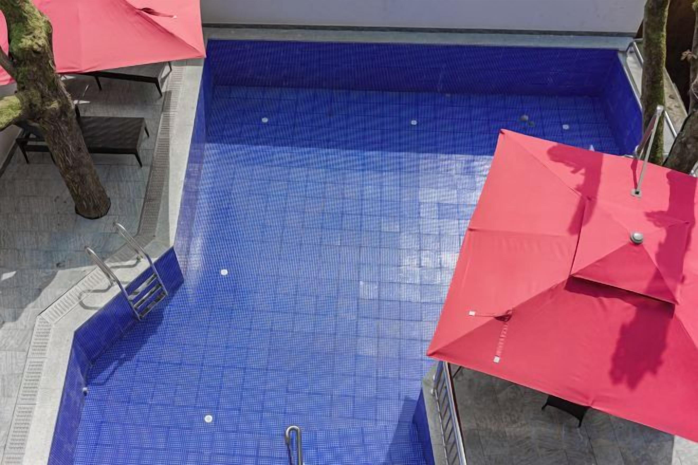 A blue tiled pool with a ladder, red umbrellas, and a tree.
