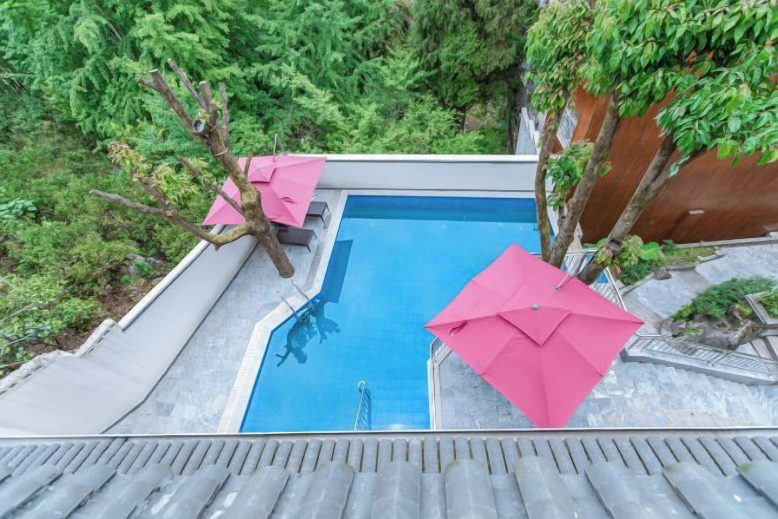 Une piscine avec une terrasse en bois et des parasols roses.