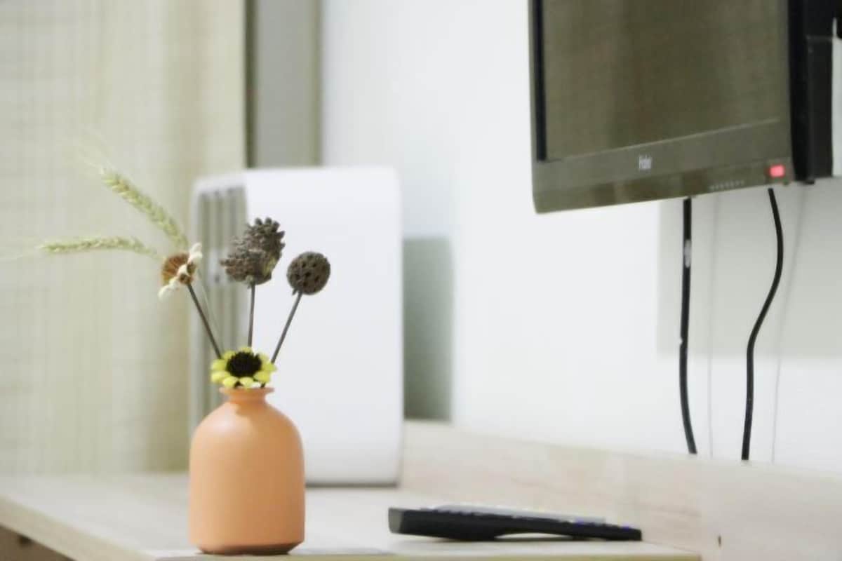 Un jarrón con flores secas sobre una mesa, un control remoto y un televisor montado en la pared.