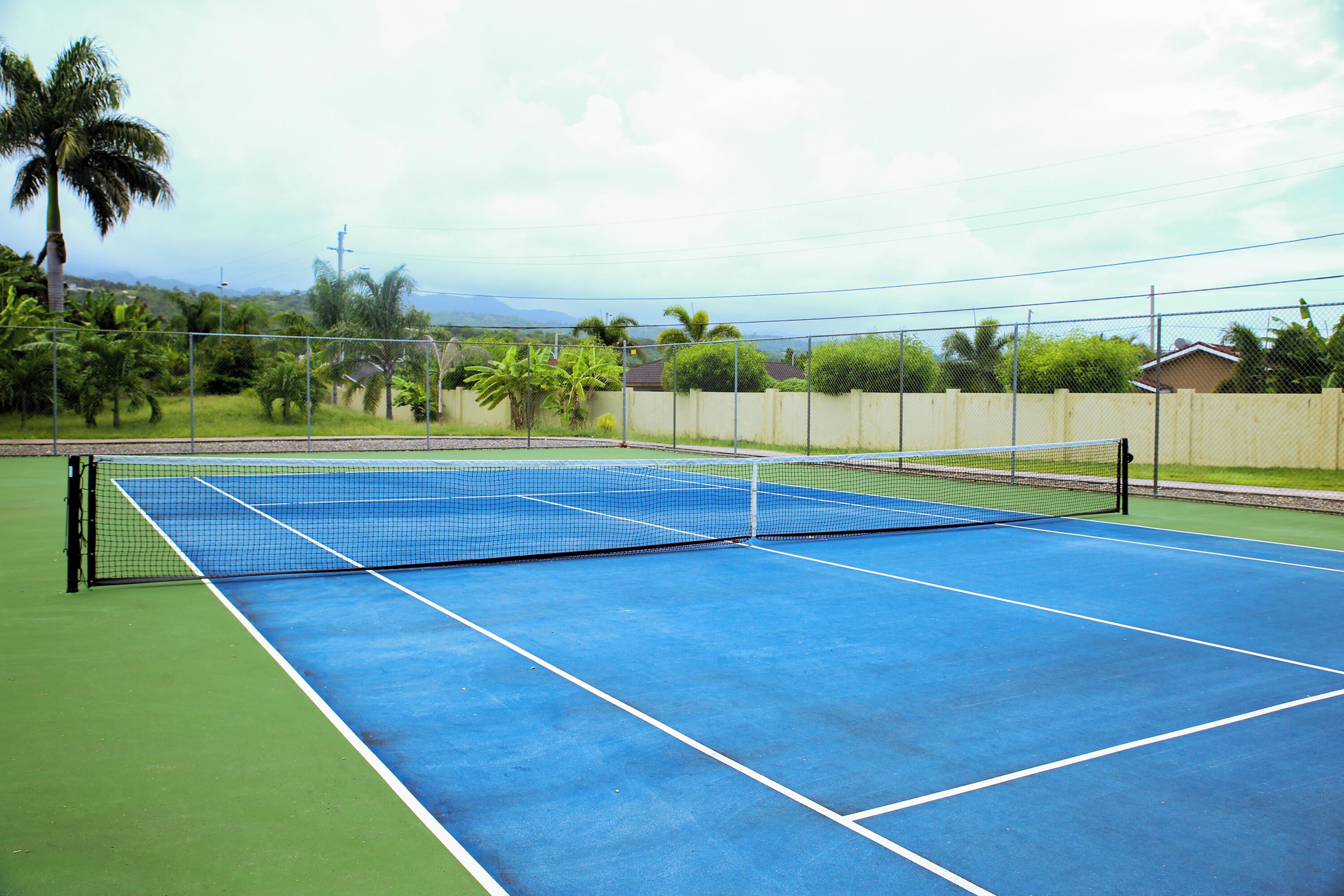 A tennis court with a net, surrounded by a fence, and palm trees in the background.
