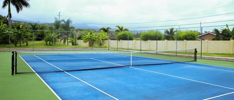 A tennis court with a net, surrounded by a fence, and palm trees in the background.