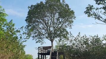 Una terraza de madera con un cartel que dice 'Wildlife deck' sujeto a un árbol.