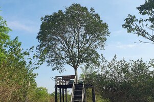 Una terraza de madera con un cartel que dice 'Wildlife deck' sujeto a un árbol.