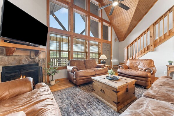 TV, fireplace, books, offices