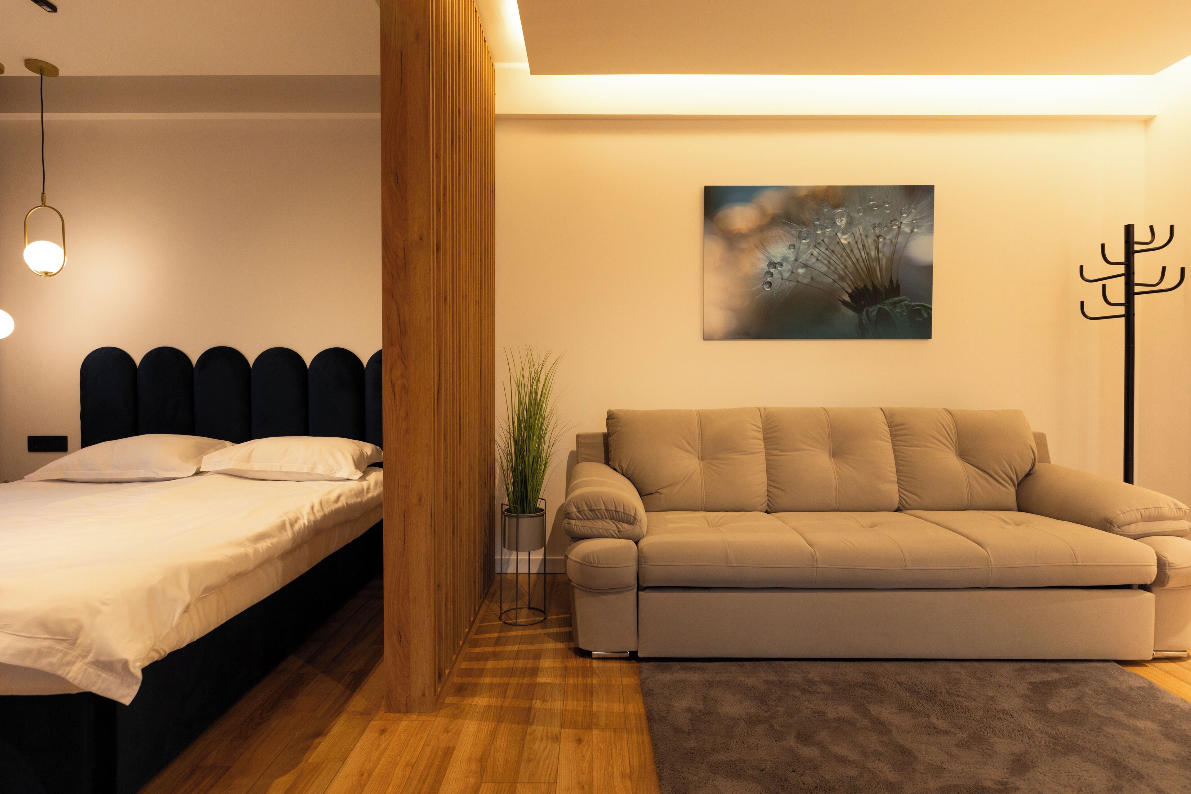 A modern bedroom with a bed, a sofa, a potted plant, and a wall-mounted picture.