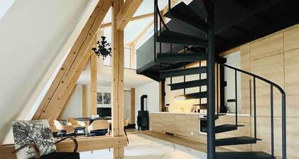 Unique SkyLoft with Ostrava view, adults only