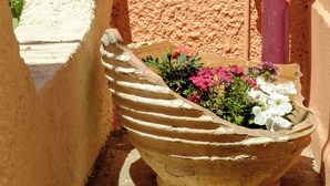 A terracotta pot with flowers on a balcony. - Cozy Retreat - Discover tranquility in Maleme, Crete. (GV82+HP2 Maleme, Greece)