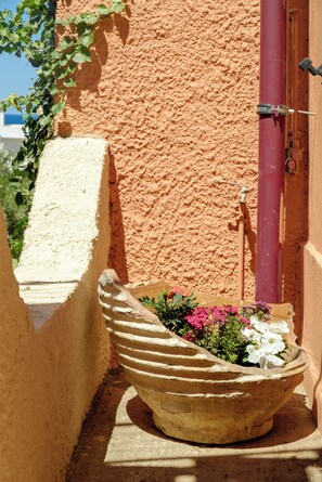 Property grounds - Cozy Retreat - Discover tranquility in Maleme, Crete. (GV82+HP2 Maleme, Greece)