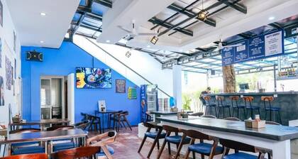 Last Summer Hostel & Bar