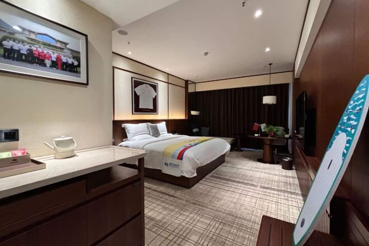 Una habitación de hotel con una cama, un escritorio, una silla, un televisor y un cuadro en la pared.