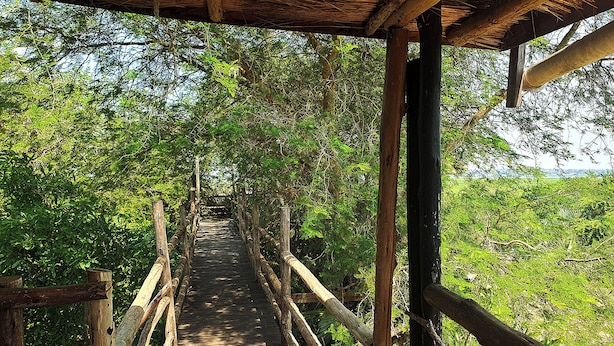 A wooden bridge with railings, surrounded by dense greenery. - Hornbill Bush Lodge (Pakwach)