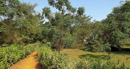 Hornbill Bush Lodge