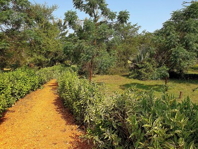 Hornbill Bush Lodge