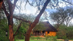 A thatched-roof hut surrounded by lush greenery and trees. - Hornbill Bush Lodge (Pakwach)