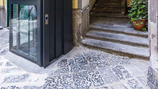 Une entrée d’immeuble avec une porte en verre, un escalier et un pot de fleurs.