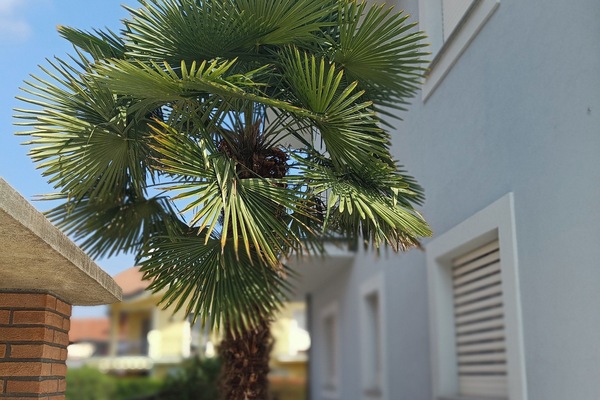 Parco della struttura