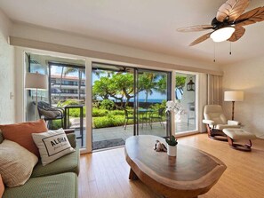 TV, DVD player, offices