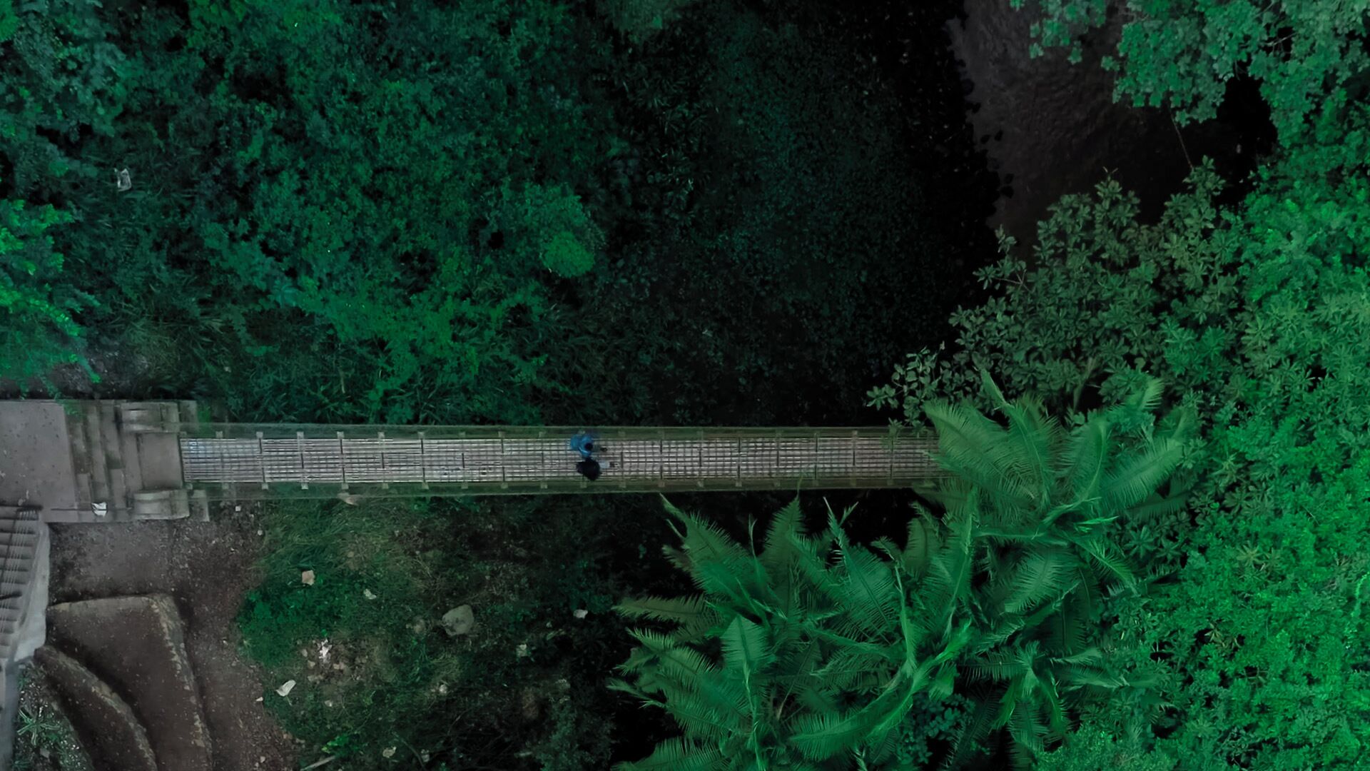 An aerial view of a bridge with dense foliage on both sides.