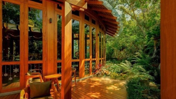 A wooden deck with a glass enclosure, surrounded by lush greenery.