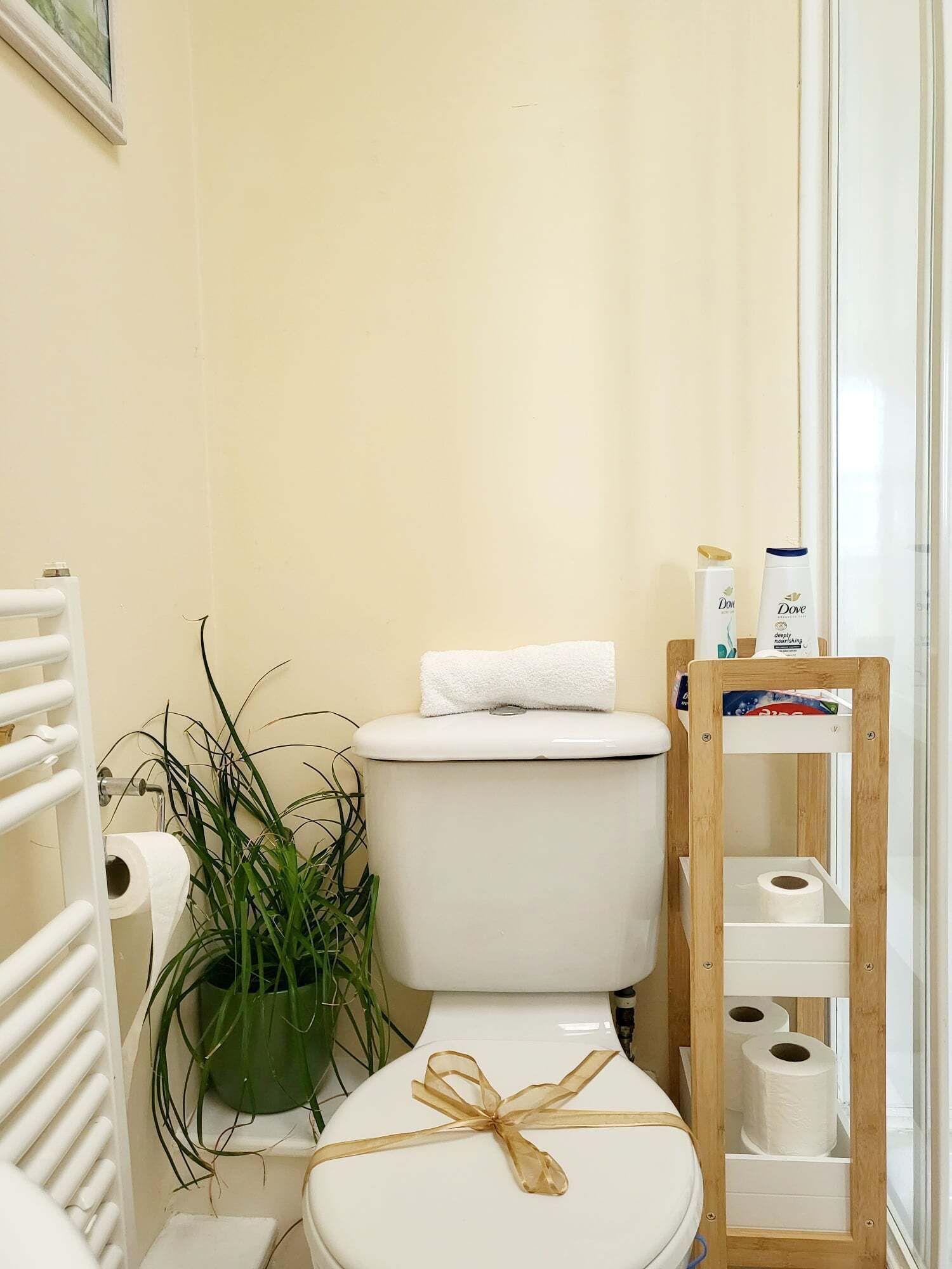 A small bathroom with a toilet, a wooden shelf with toilet paper, and a potted plant.
