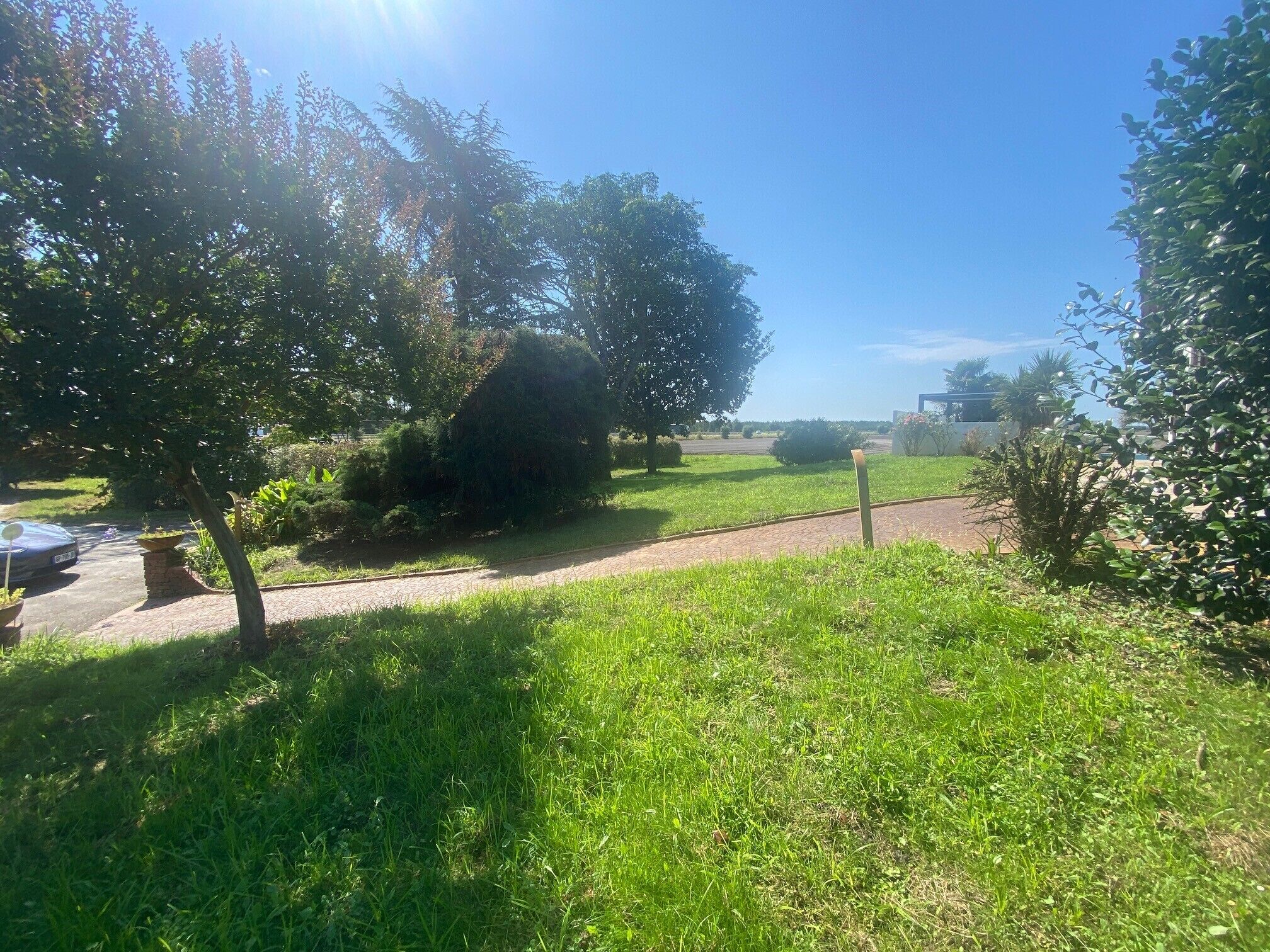 A grassy area with a paved path, trees, and a clear sky.
