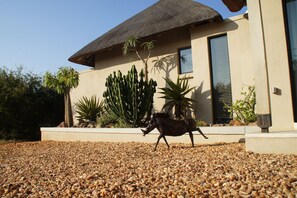 Exterior detail - Villa Gemoedsrus: design villa with magnificent views (Hoedspruit)
