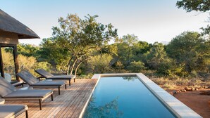 A rectangular pool with a wooden deck and lounge chairs.