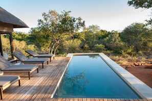 Pool - Villa Aloë Vera: Breathtaking design & wellness villa in the South African bush (Hoedspruit)