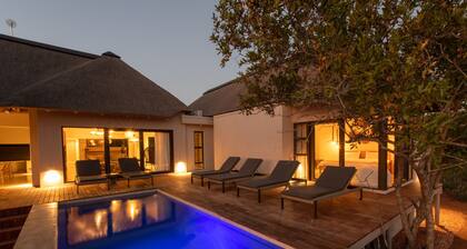Villa Aloë Vera: Breathtaking design & wellness villa in the South African bush