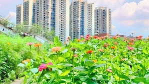 Zona residencial con edificios altos y un jardín con diversas plantas y flores.