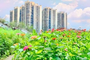 Property amenity - Chongqing Dichen Garden Hotel (Chongqing)