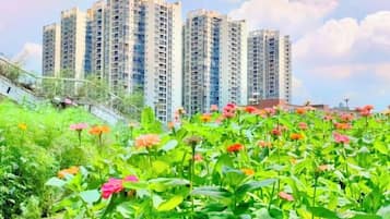 A residential area with high-rise buildings and a garden with flowers.