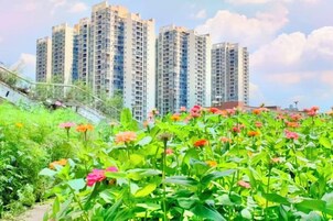 Zona residencial con edificios altos y un jardín lleno de flores.