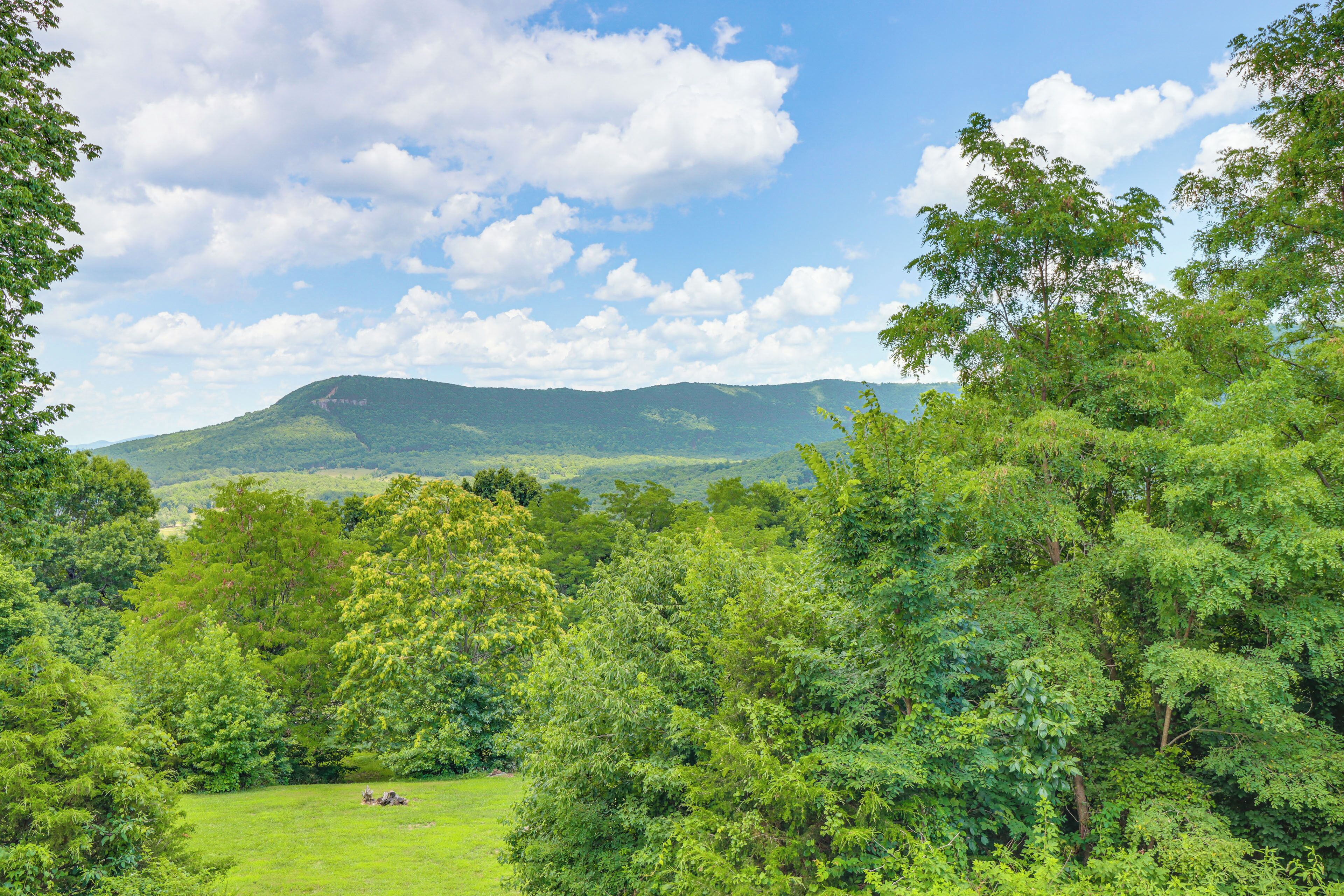 A lush green landscape with a hill in the background and a clear sky.