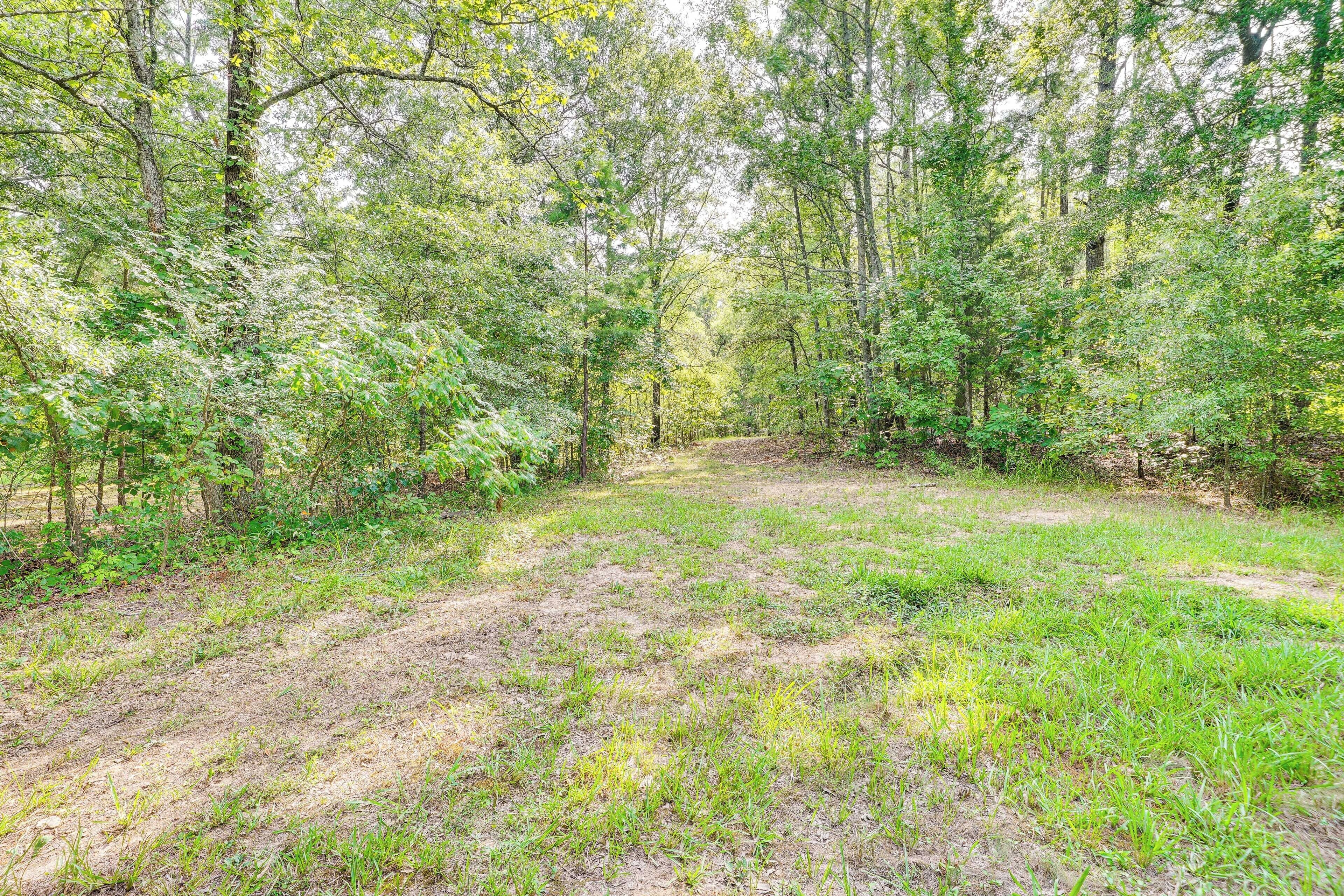 A forested area with a dirt path.