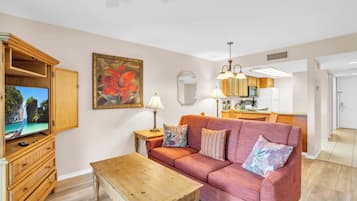 TV, DVD player, offices