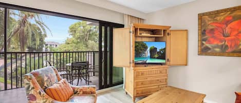 TV, DVD player, offices