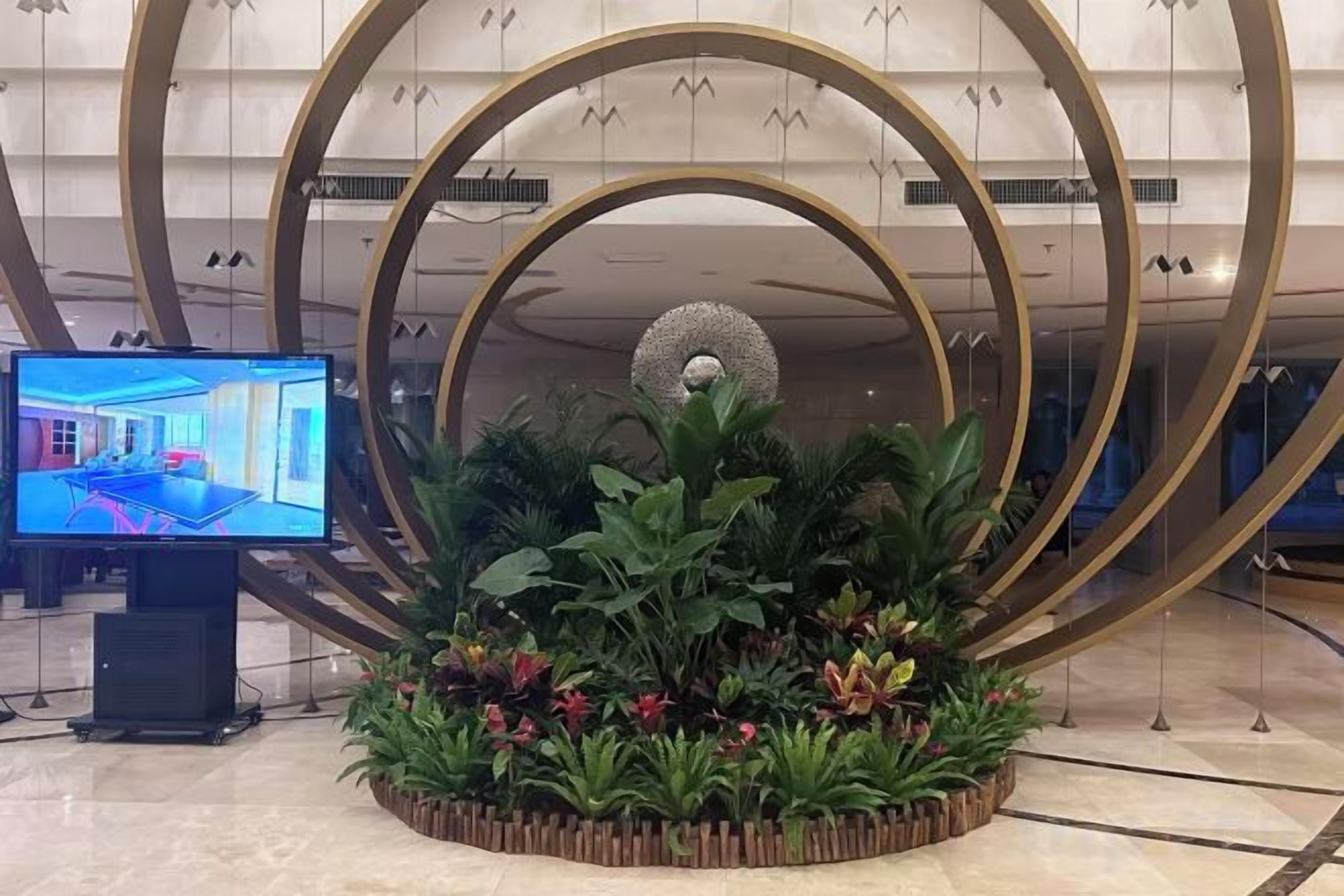 A reception area with a large flat-screen TV, a decorative plant arrangement, and a modern circular architectural design.
